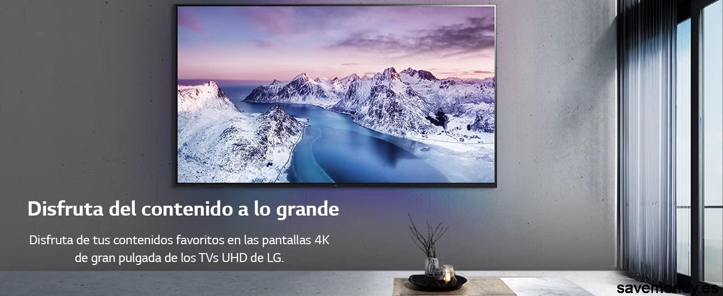 Oferta Televisor LG 2023: Disfruta de imágenes asombrosas y funciones inteligentes