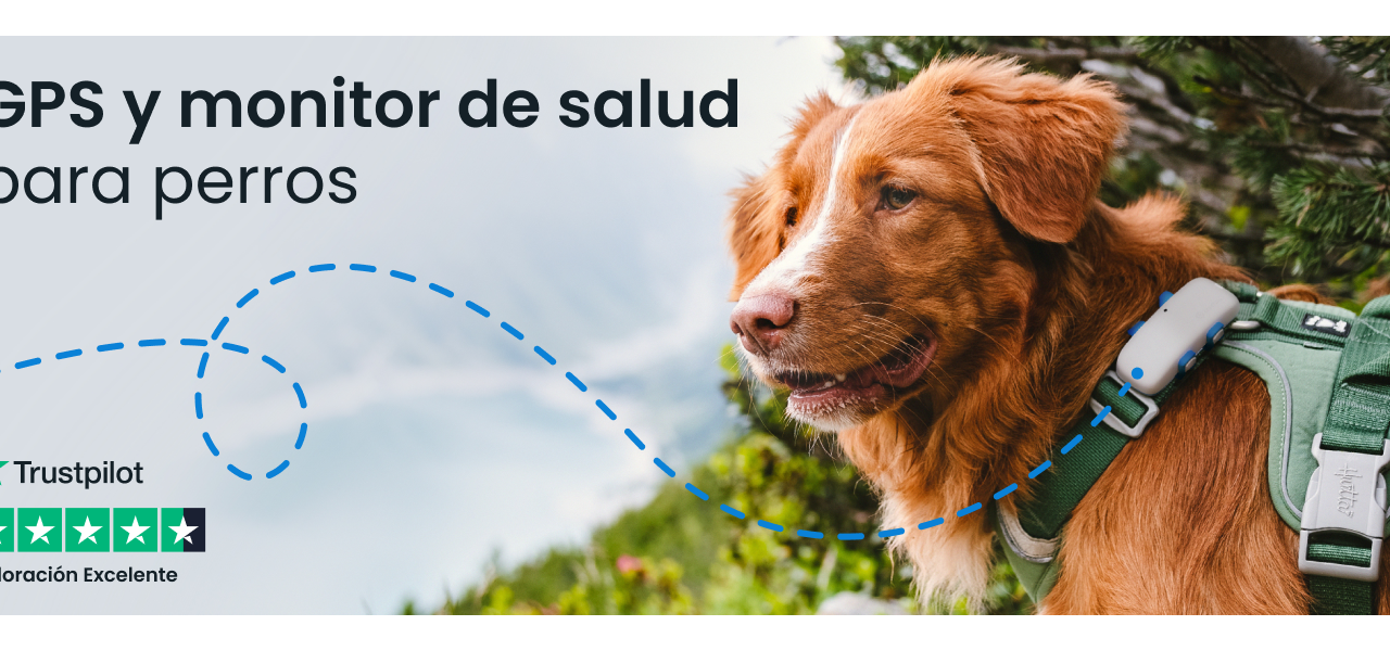 Protege a tu Mascota con Tractive GPS para Perros: Ahora con un 30% de Descuento
