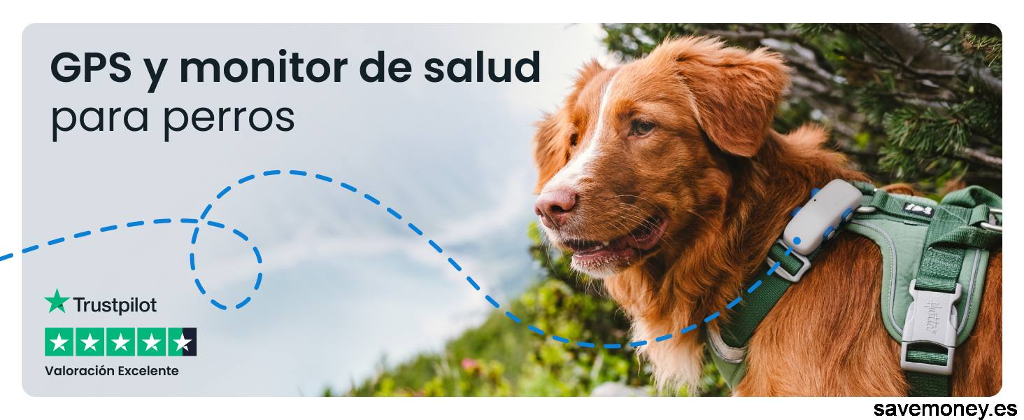 Protege a tu Mascota con Tractive GPS para Perros: Ahora con un 30% de Descuento