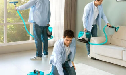 Oferta del Día: Consigue el Limpiatapicerías Cecotec Conga 6000 por solo 109€ y Dale una Nueva Vida a tus Tapicerías