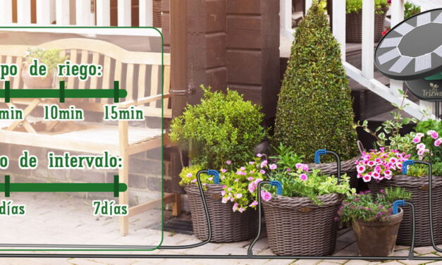 Sistema de Riego Solar: La Solución Perfecta para Regar tus Plantas en Vacaciones